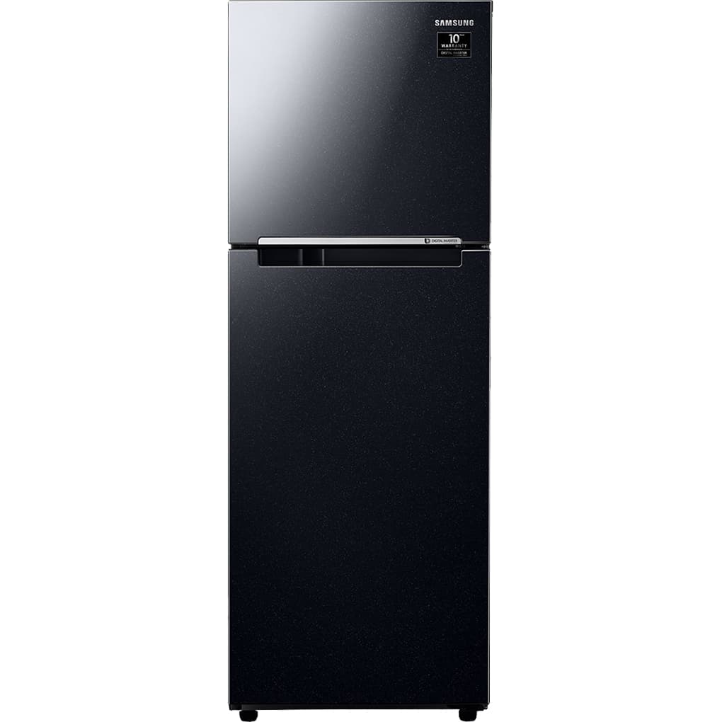 Tủ lạnh Samsung Inverter 236 lít RT22M4032BY/SV
